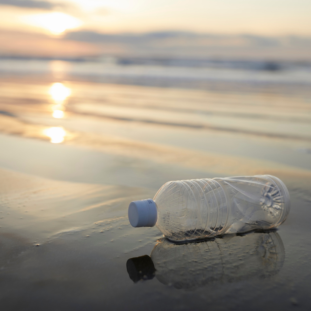Water bottle on the beach illustrating plastic waste